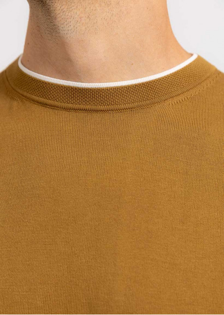 Tricou
