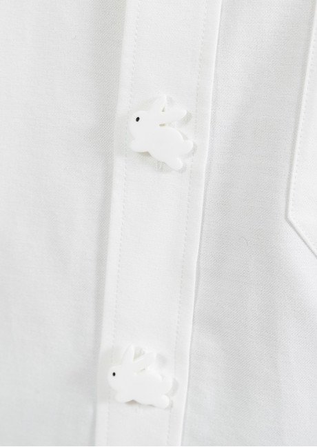 Bluza