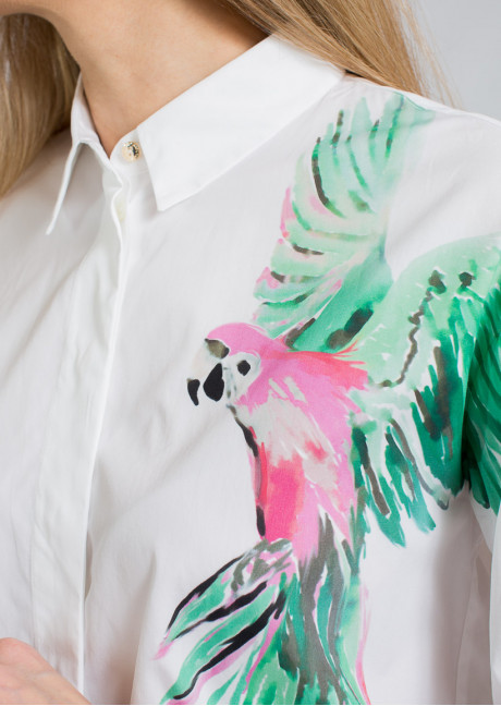 Bluza