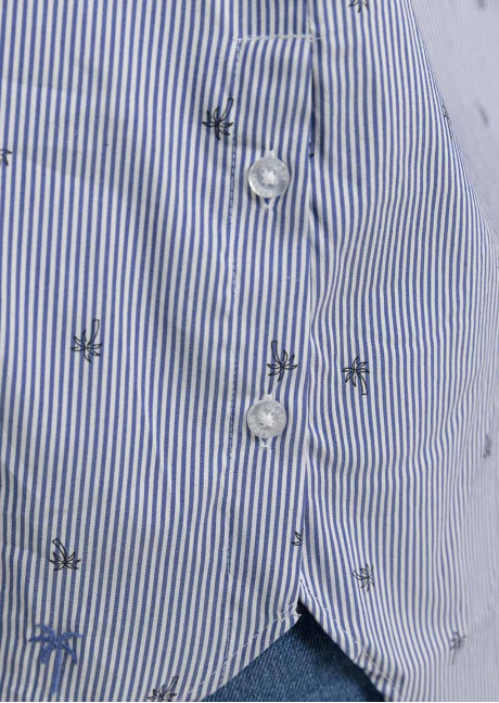 Bluza