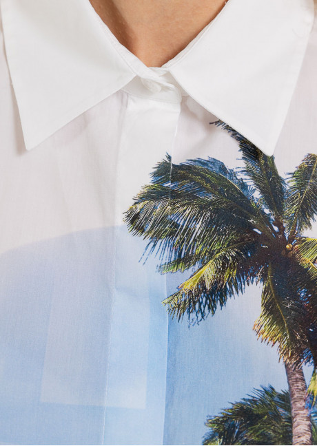 Bluza
