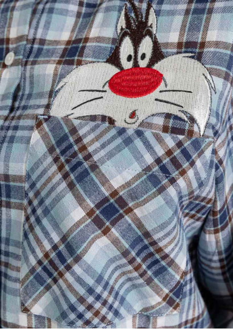 Bluza