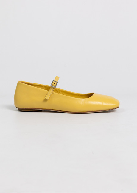 Pantofi